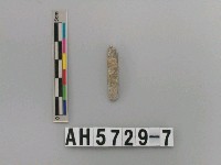 藏品(磨製石鑿)的圖片